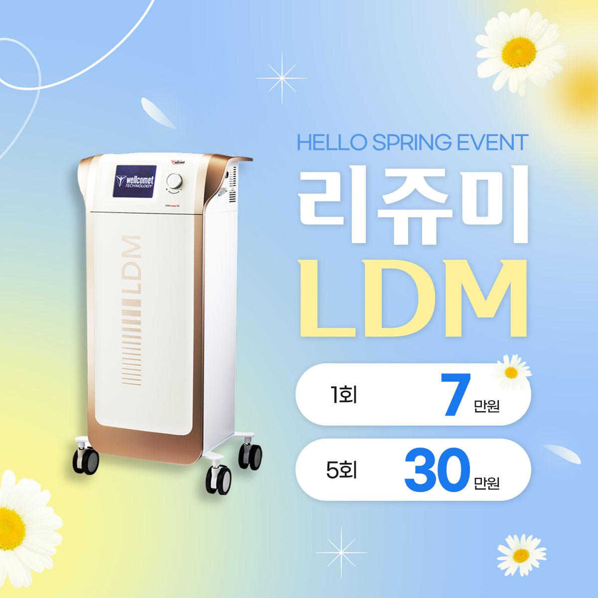 LDM