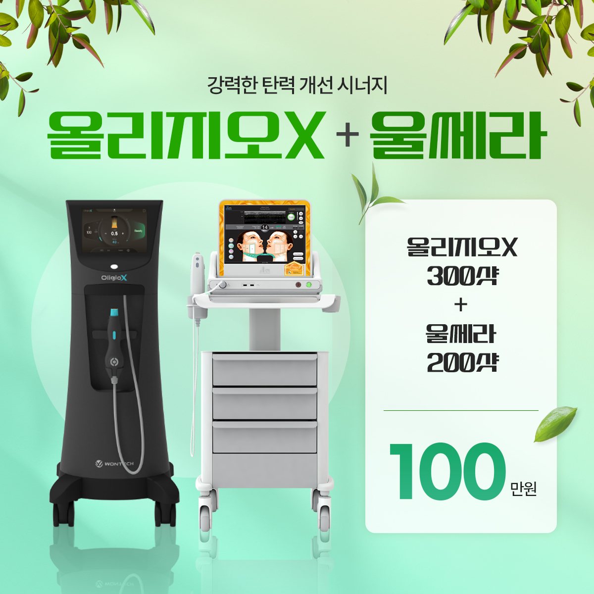 올리지오X+울쎄라