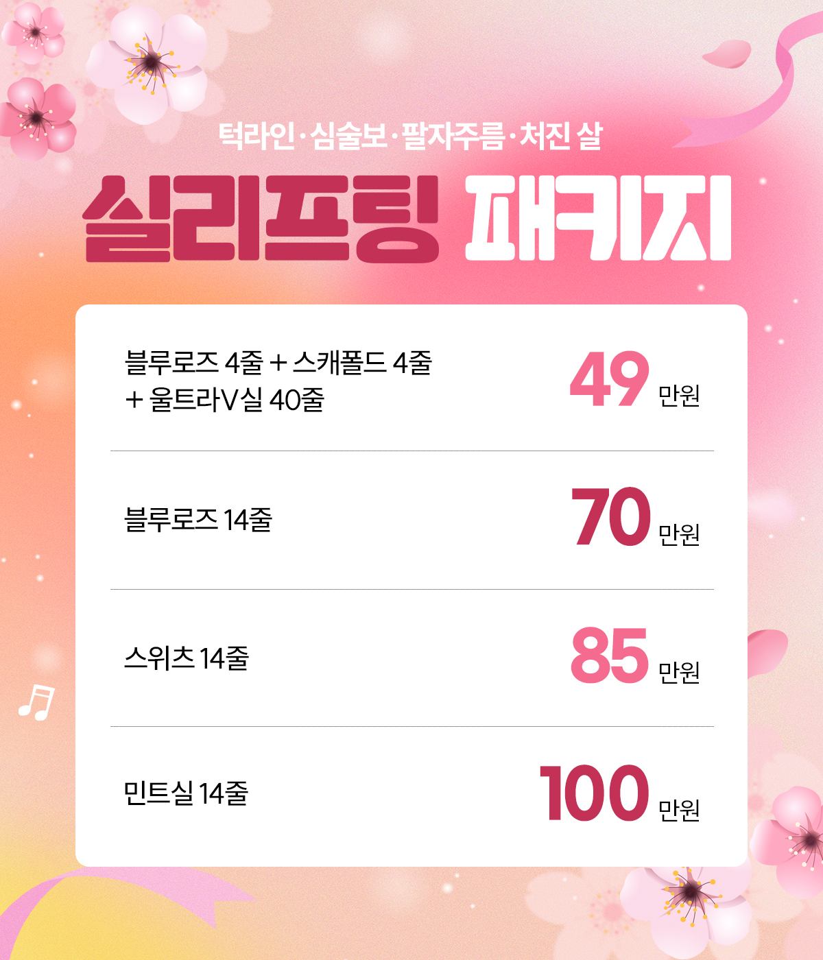 실리프팅패키지