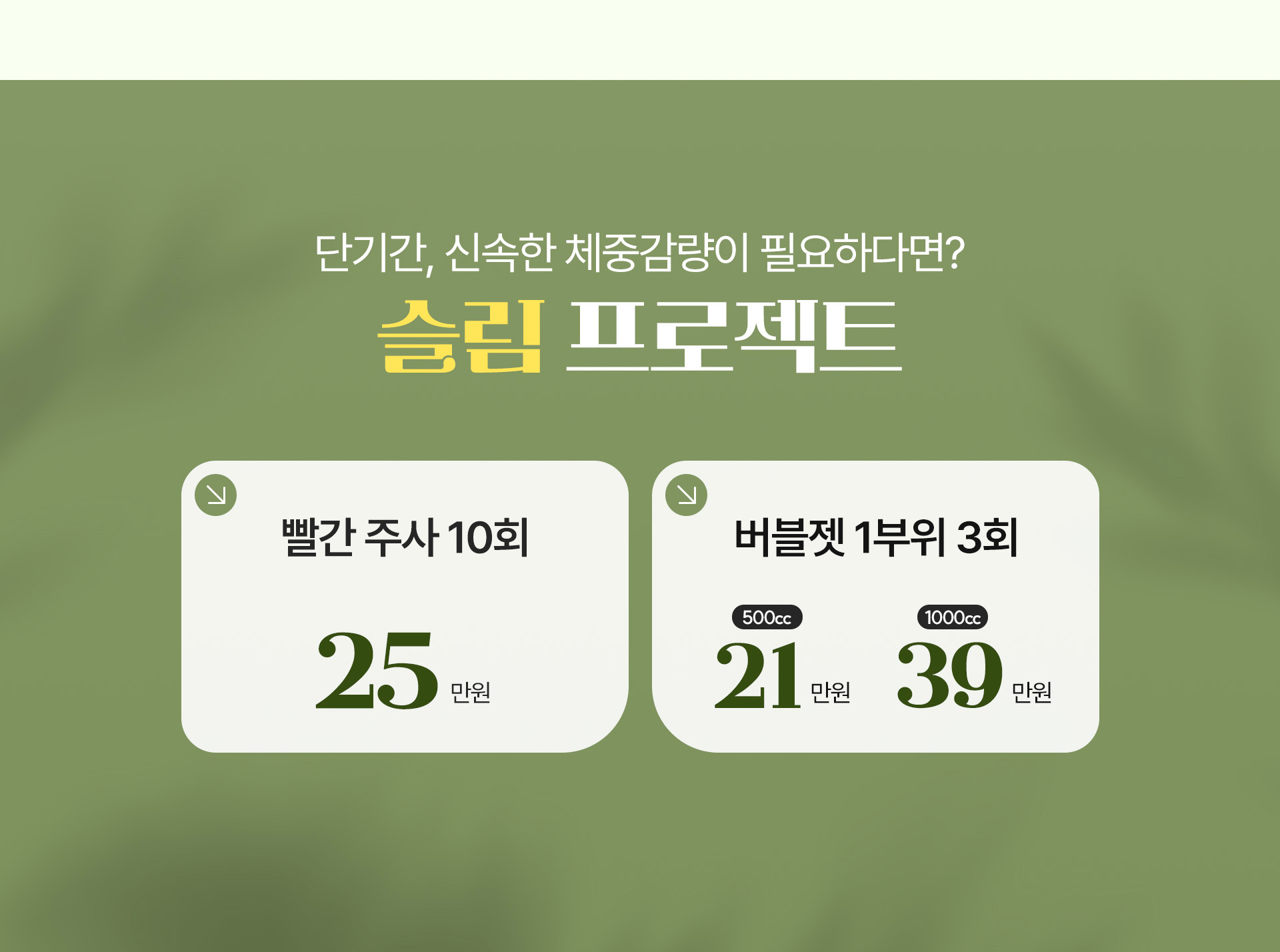 비만제모 이벤트