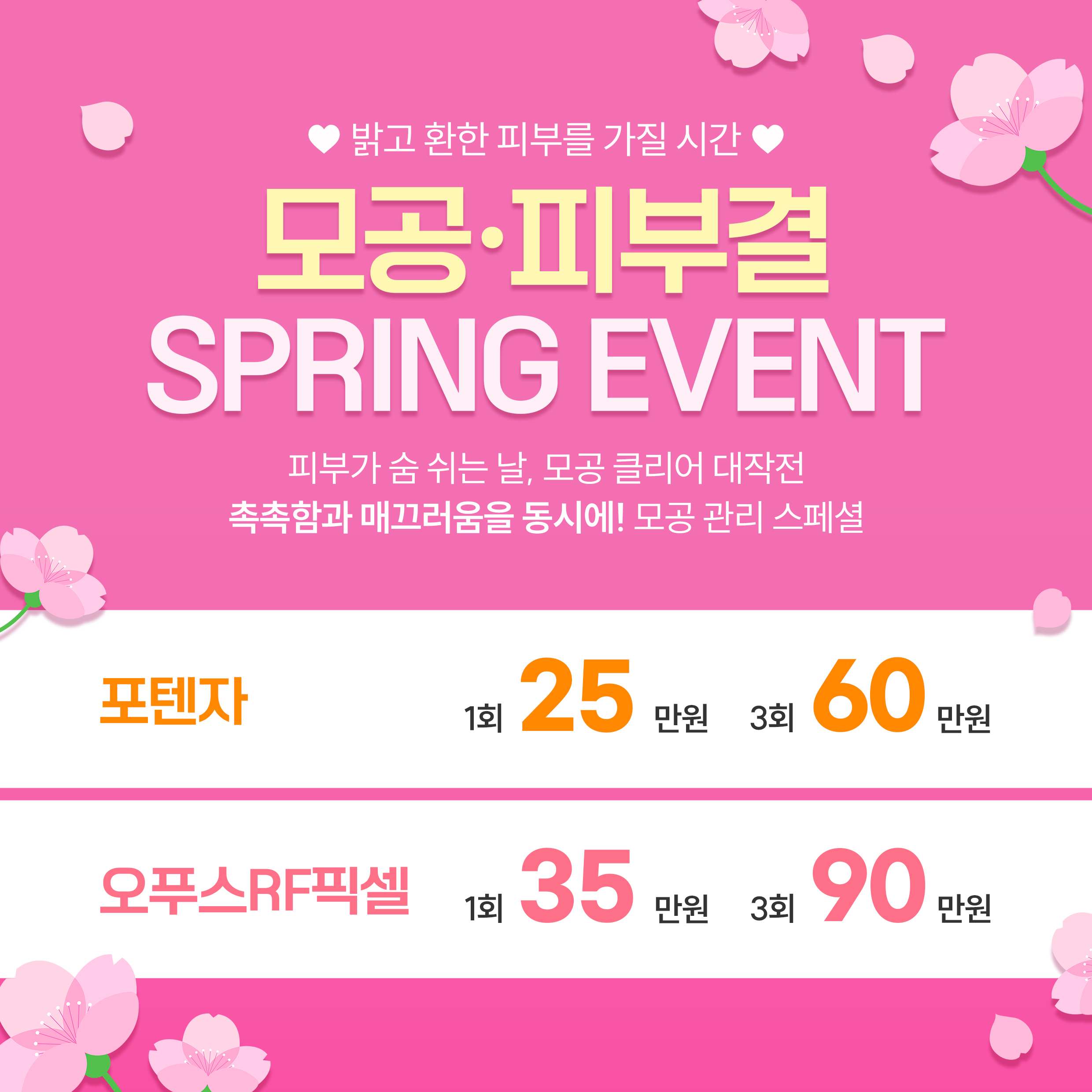 모공,피부결